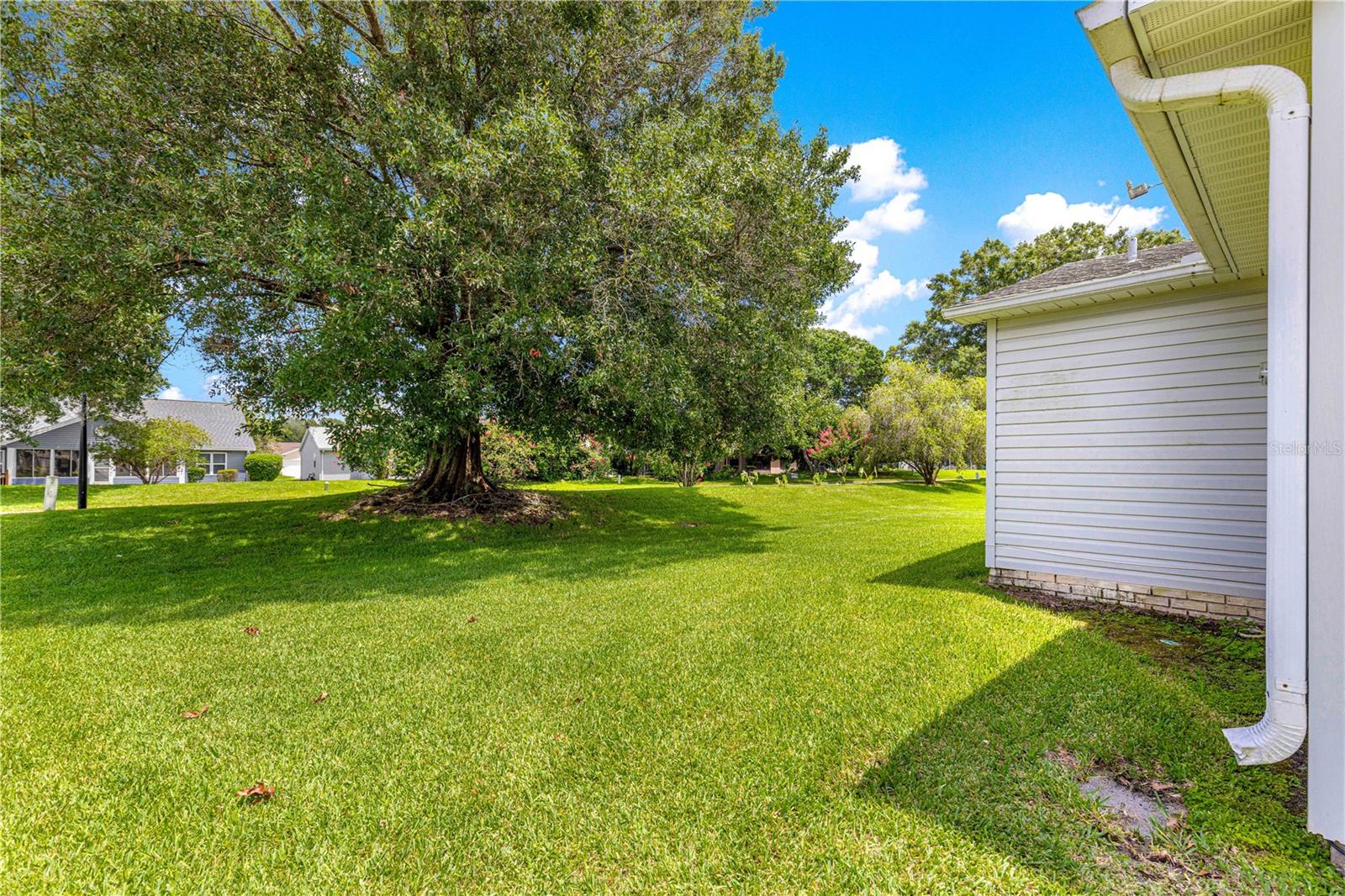 Image 38 of 54 For 729 Agua Way
