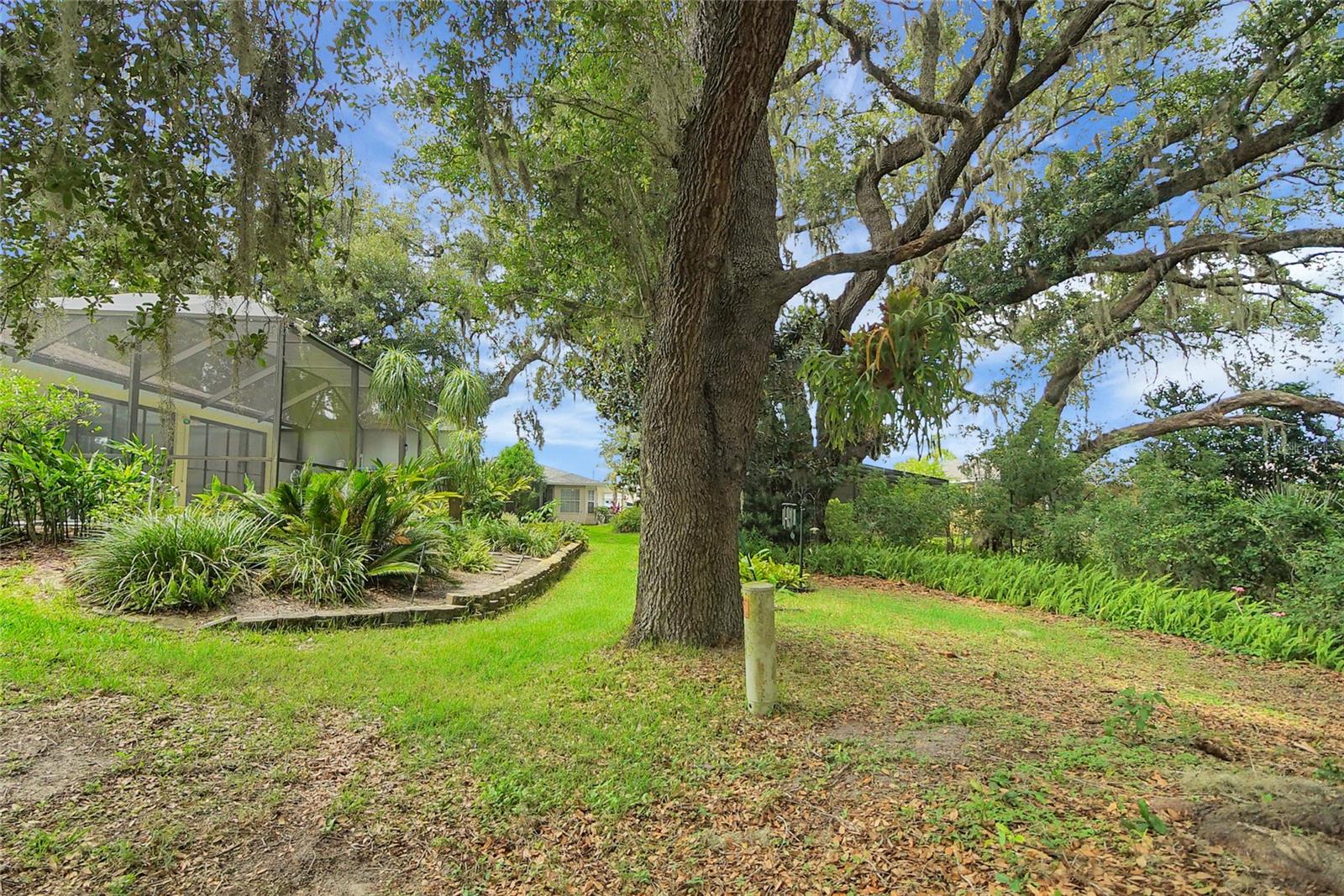 Image 28 of 54 For 32948 Rambling Oaks Court