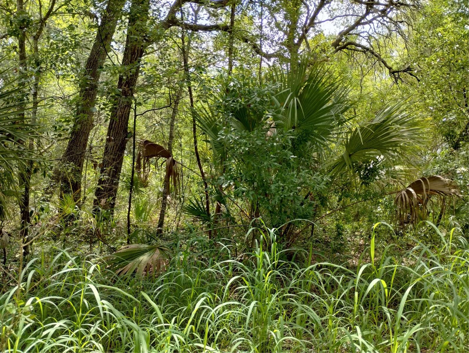 Image 2 of 9 For  Dogwood Way 