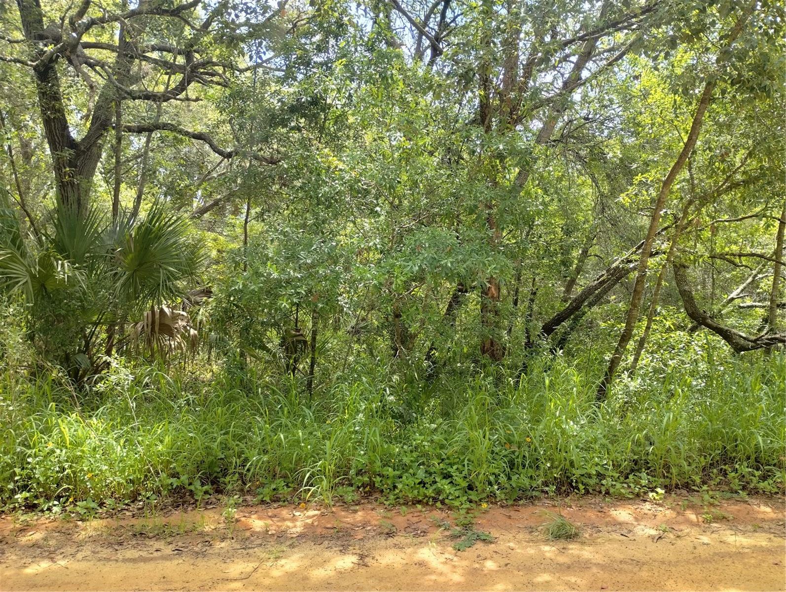 Image 4 of 9 For  Dogwood Way 