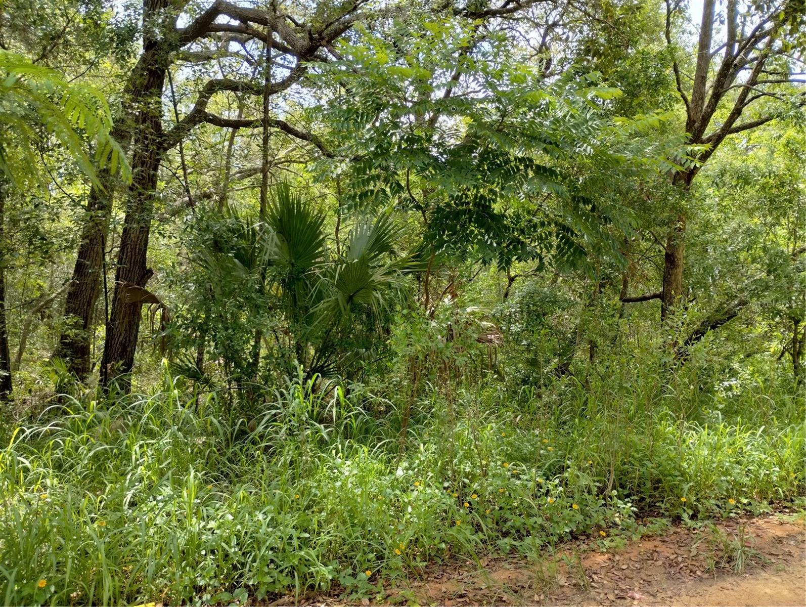 Image 5 of 9 For  Dogwood Way 