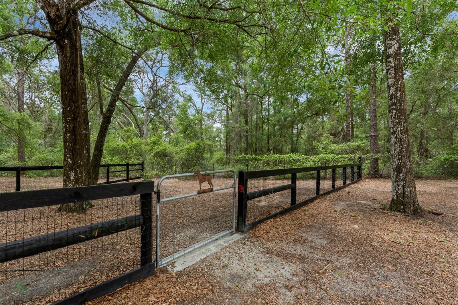 Image 39 of 55 For 4048 Lake Griffin Road