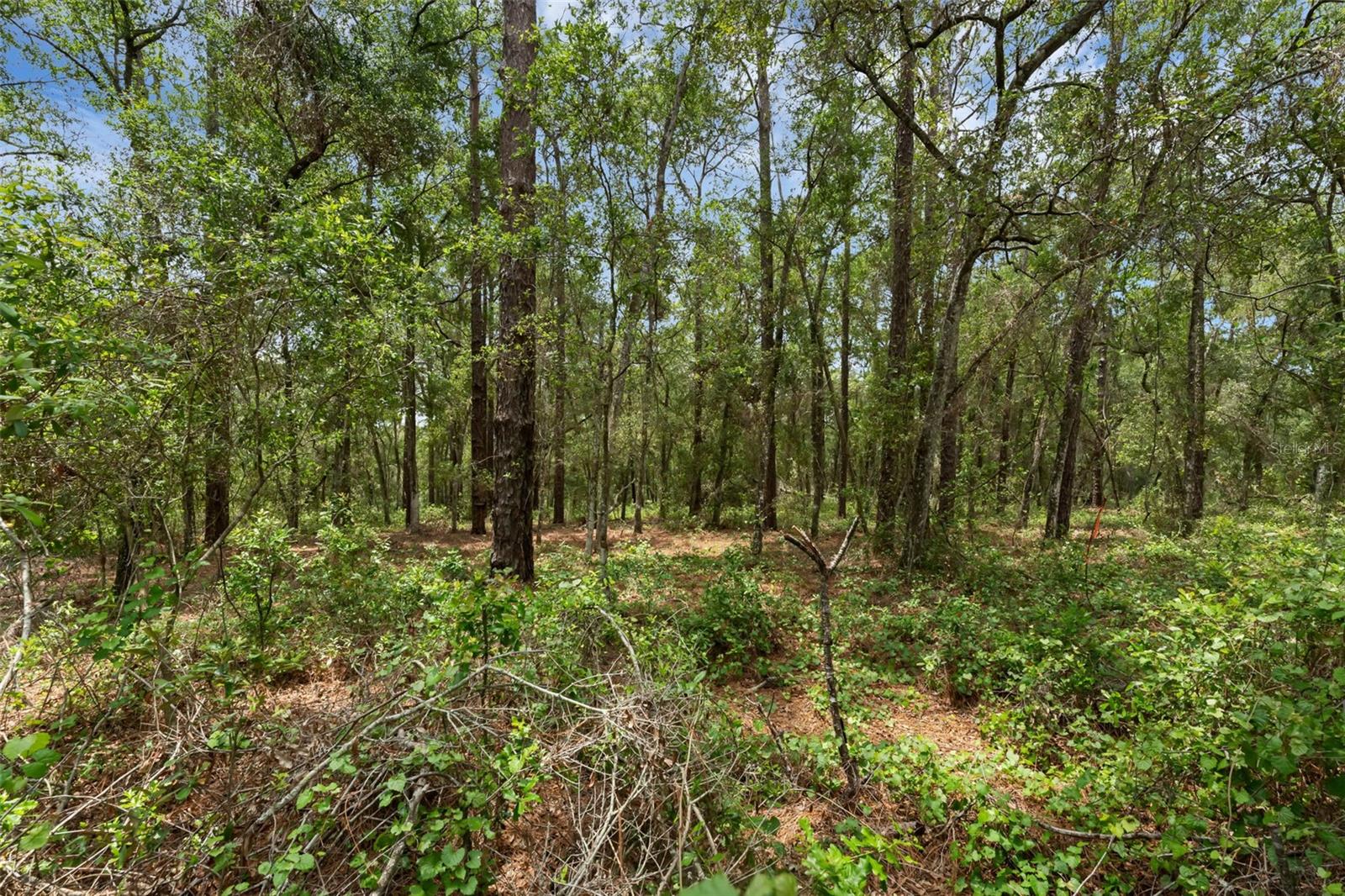 Image 44 of 55 For 4048 Lake Griffin Road