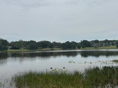Details for 41827 Emeralda Island Road, LEESBURG, FL 34788