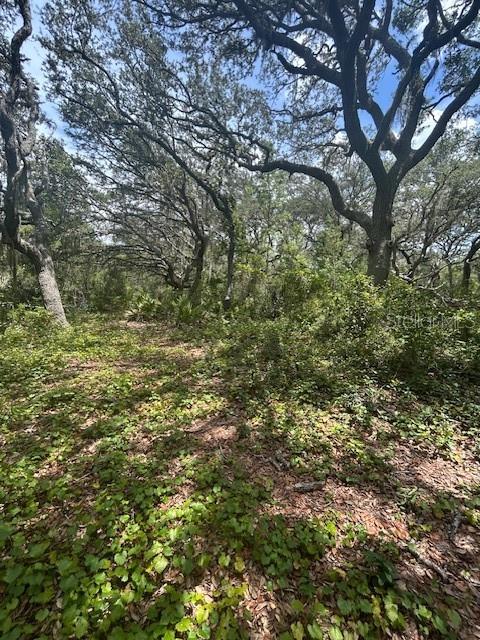 Image 21 of 25 For 41827 Emeralda Island Road