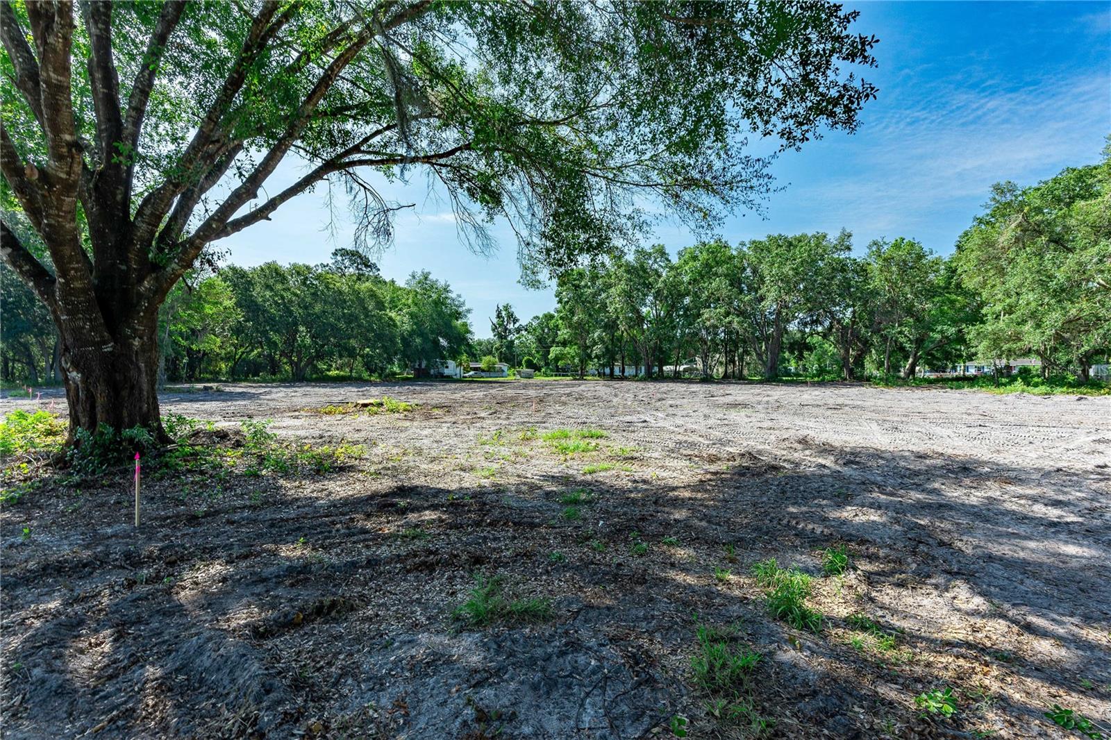 Details for Se 124th Ave, WEBSTER, FL 33597
