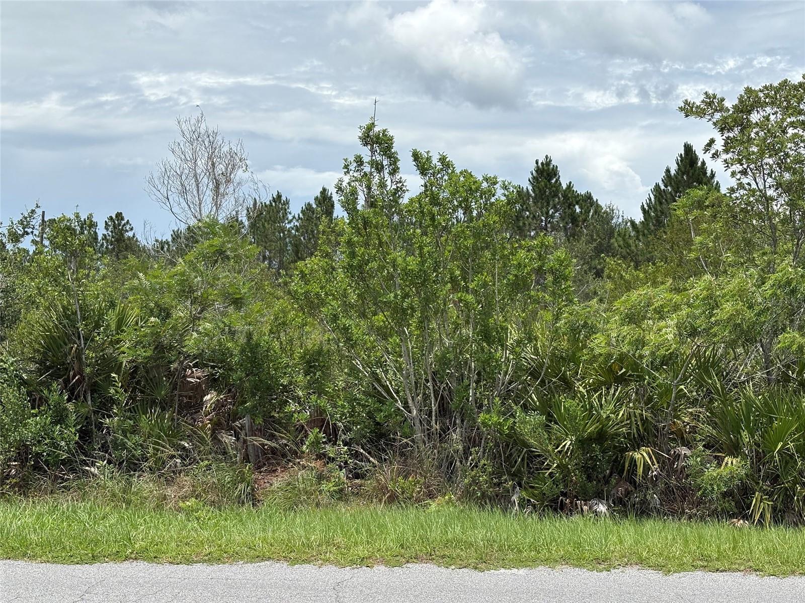 Image 10 of 10 For Ortega Street Lot 291