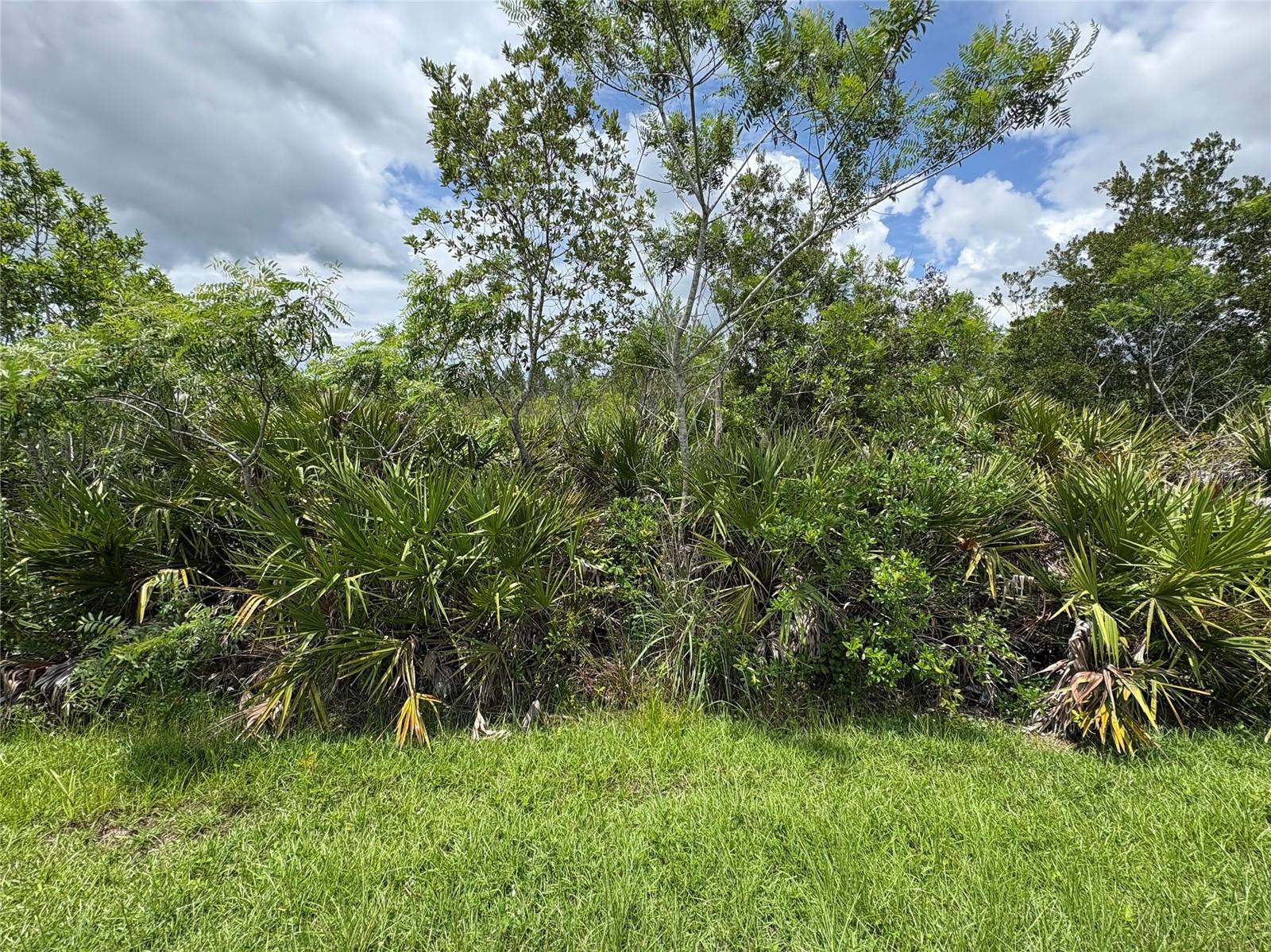 Image 8 of 10 For Ortega Street Lot 291