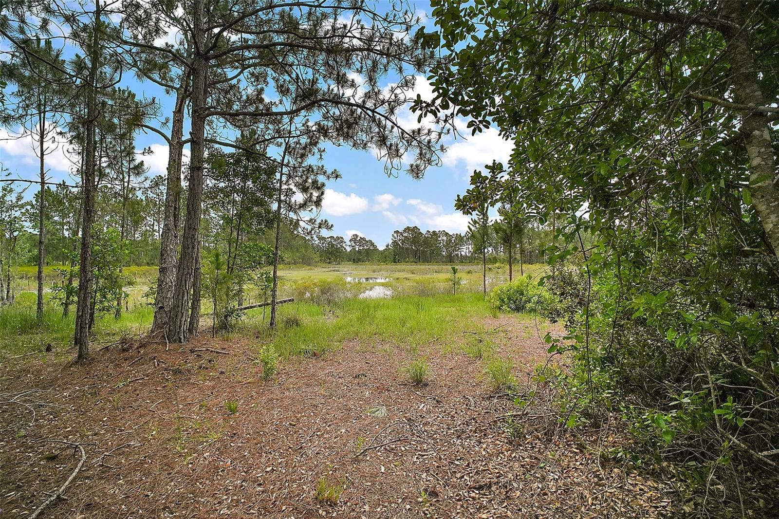 Image 23 of 41 For 42826 Piney Acres
