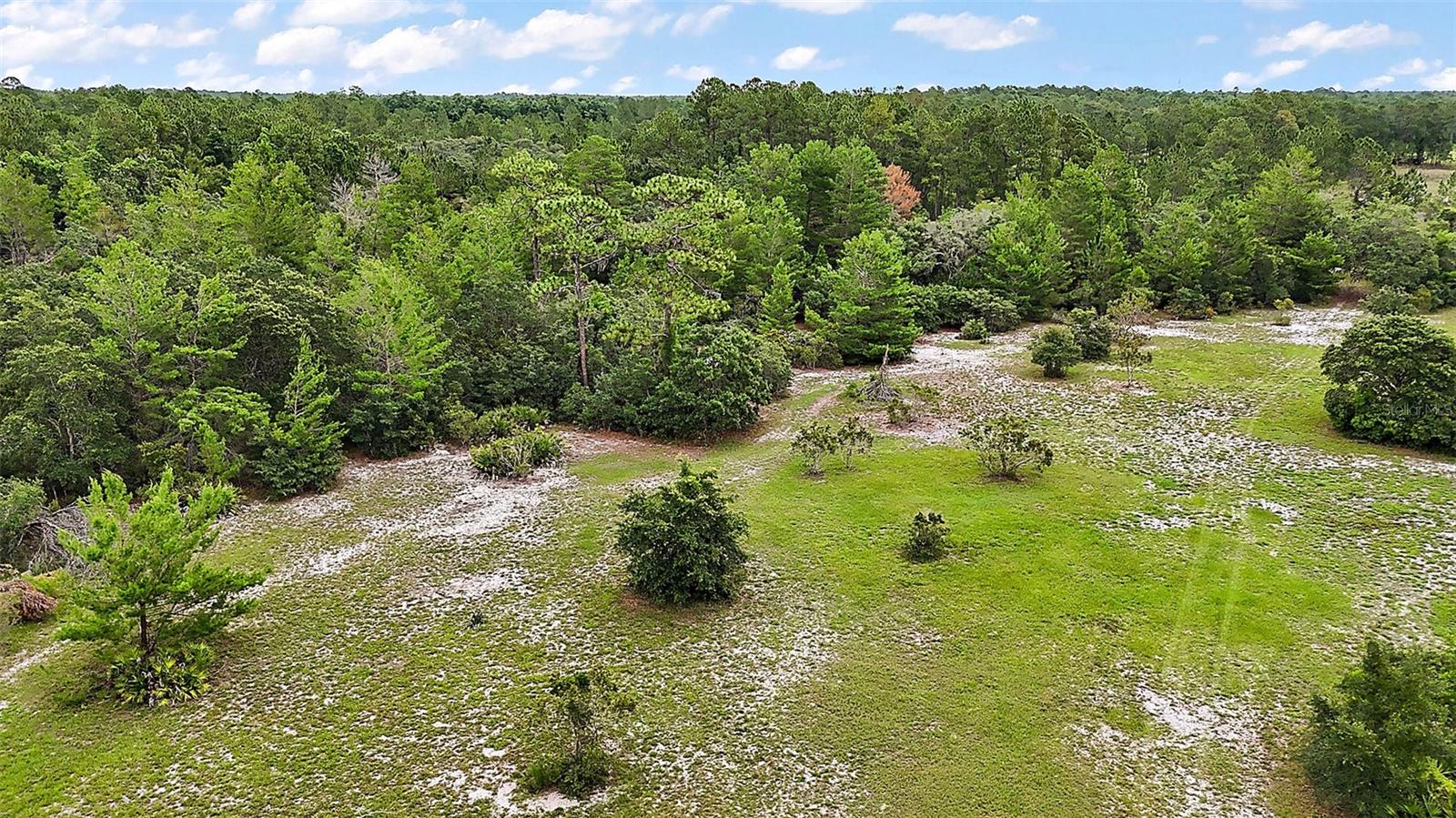 Image 31 of 41 For 42826 Piney Acres