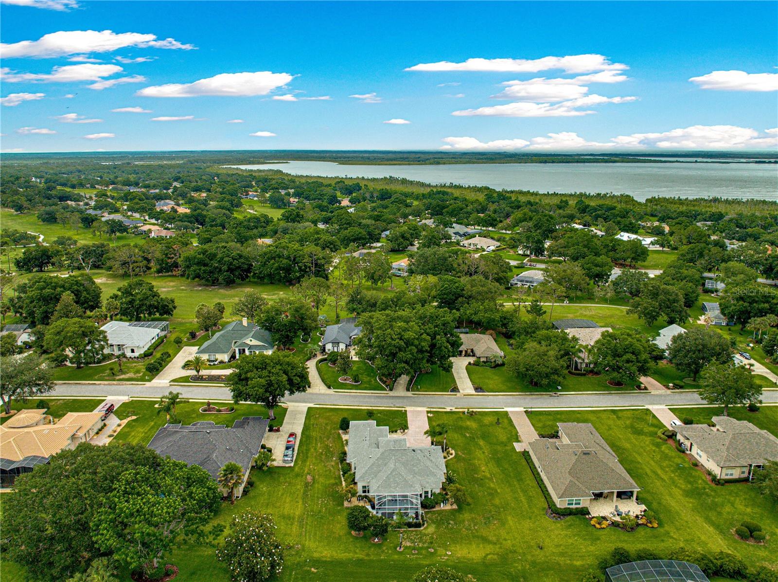Image 46 of 57 For 39145 Treeline Drive
