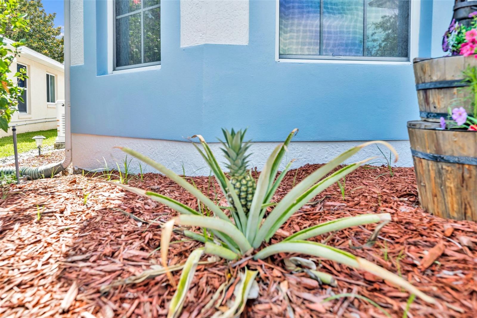 Image 43 of 67 For 5964 Brittania Boulevard