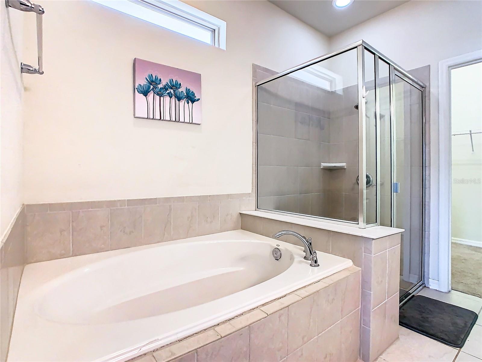 Image 14 of 61 For 8800 Corcovado Drive