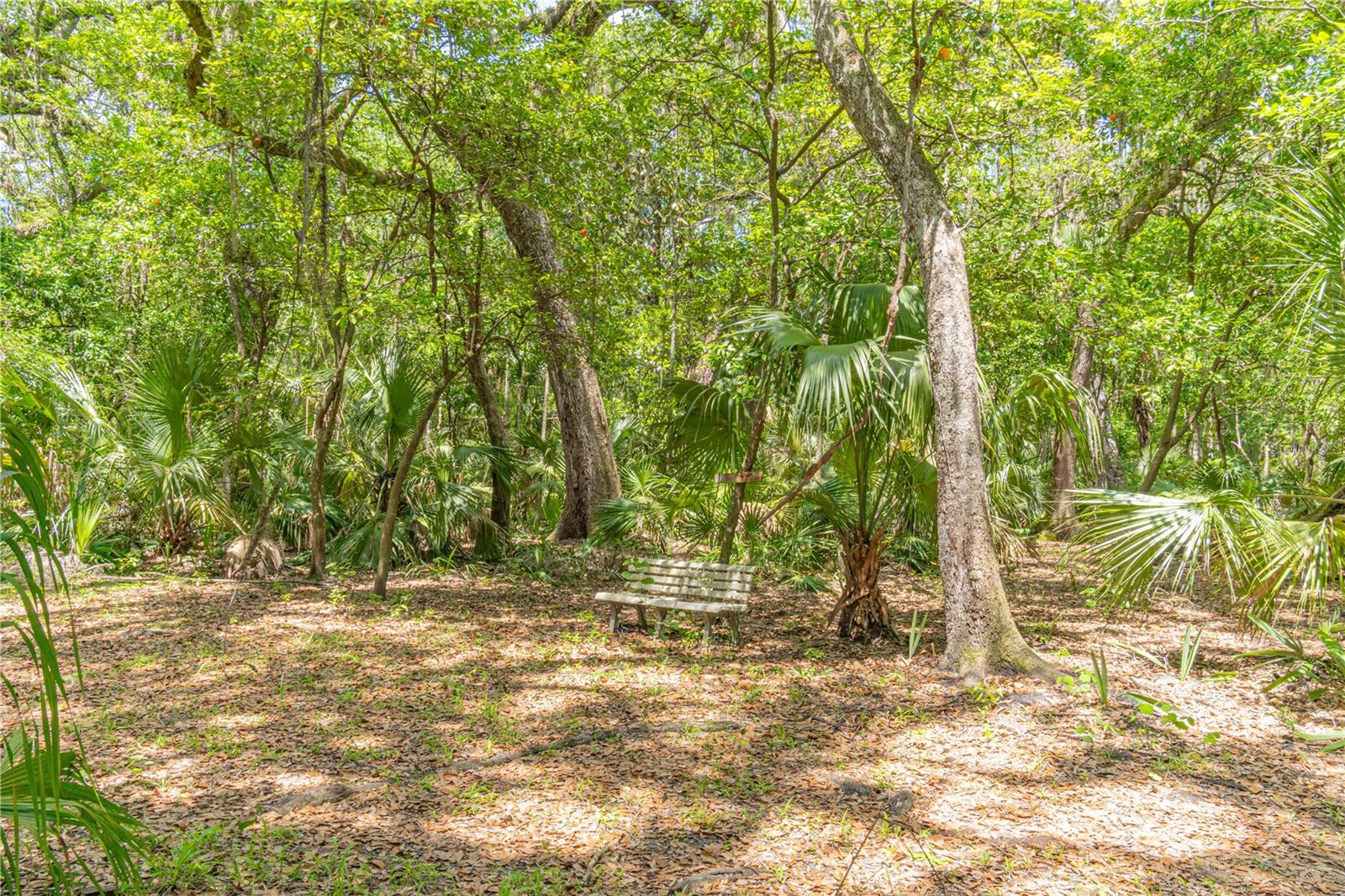 Image 36 of 47 For 2634 Cr 416n