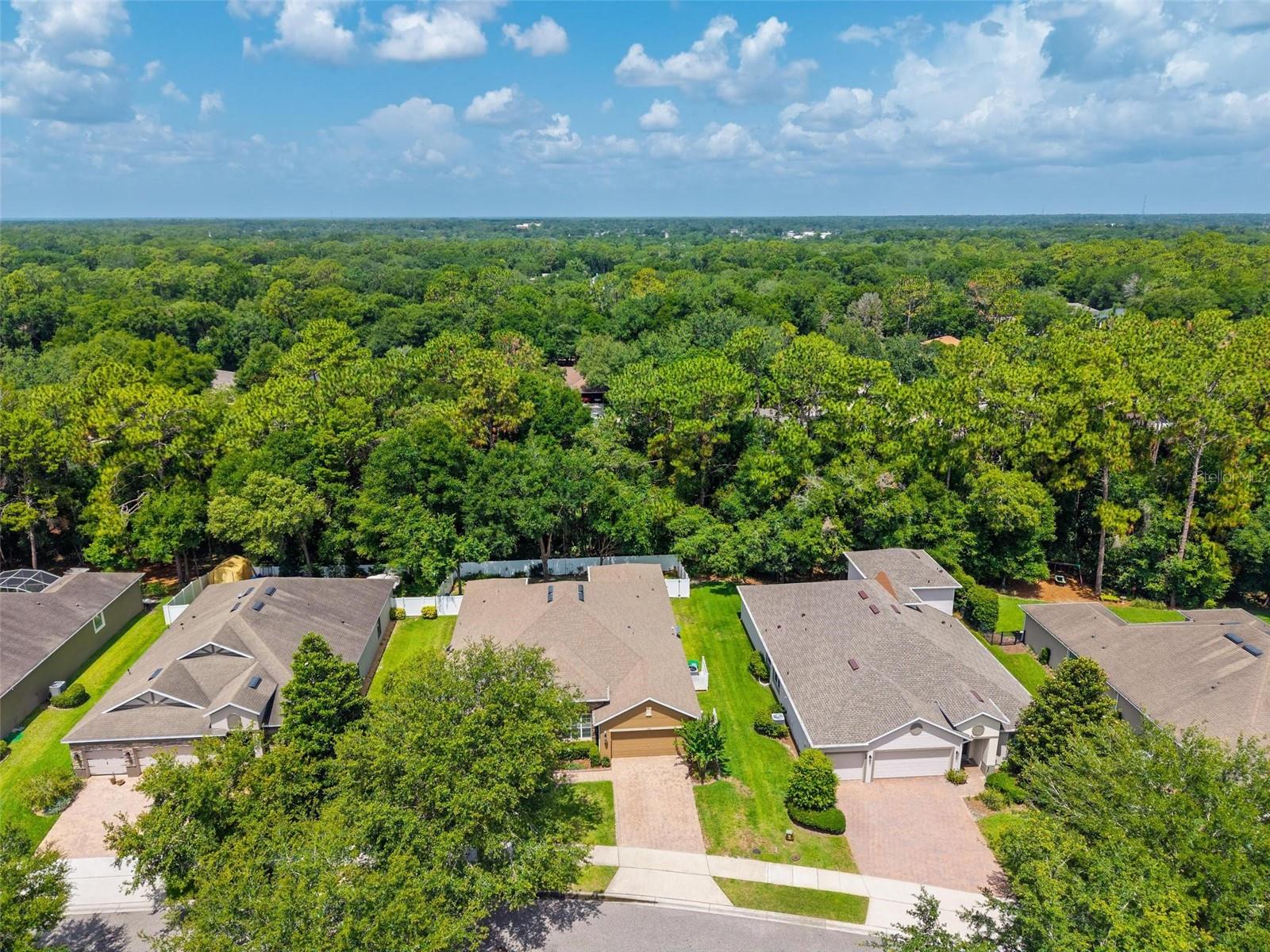 Image 64 of 79 For 1556 Blue Grass Boulevard