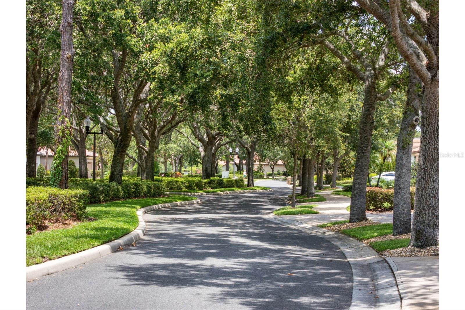 Image 3 of 46 For 9335 San Jose Boulevard