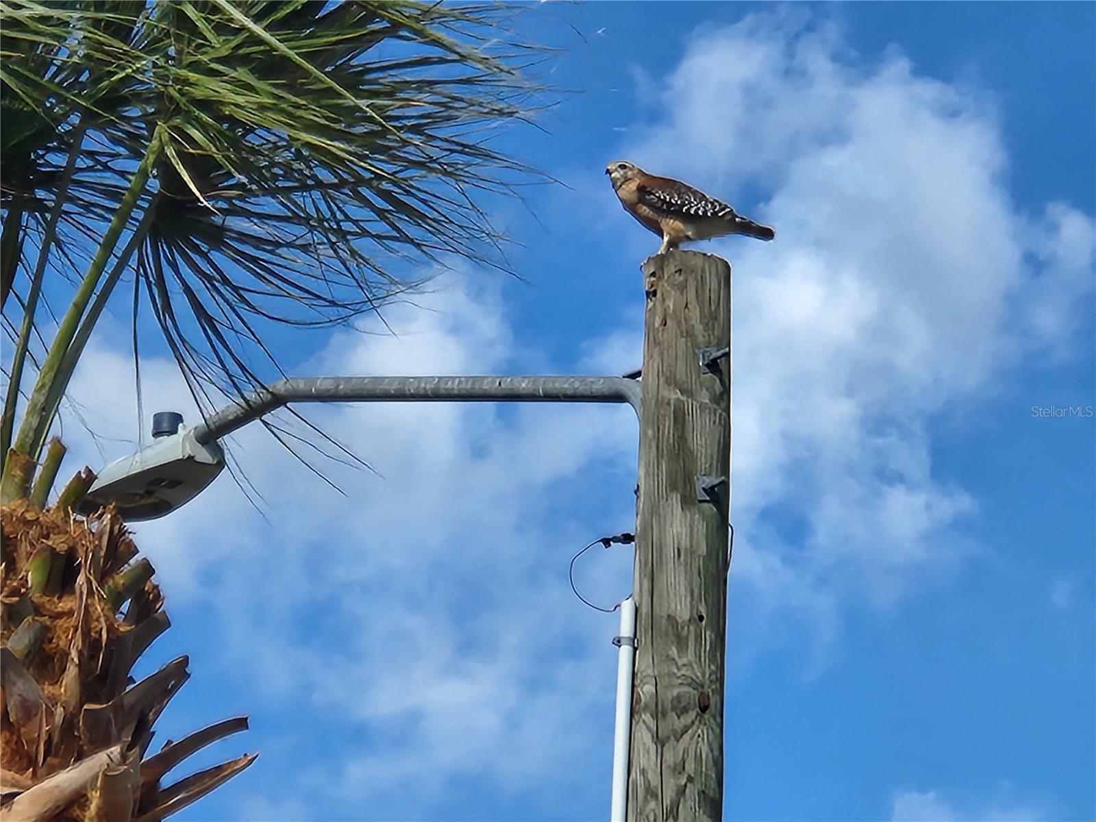 Image 71 of 80 For 1108 Apple Terrace