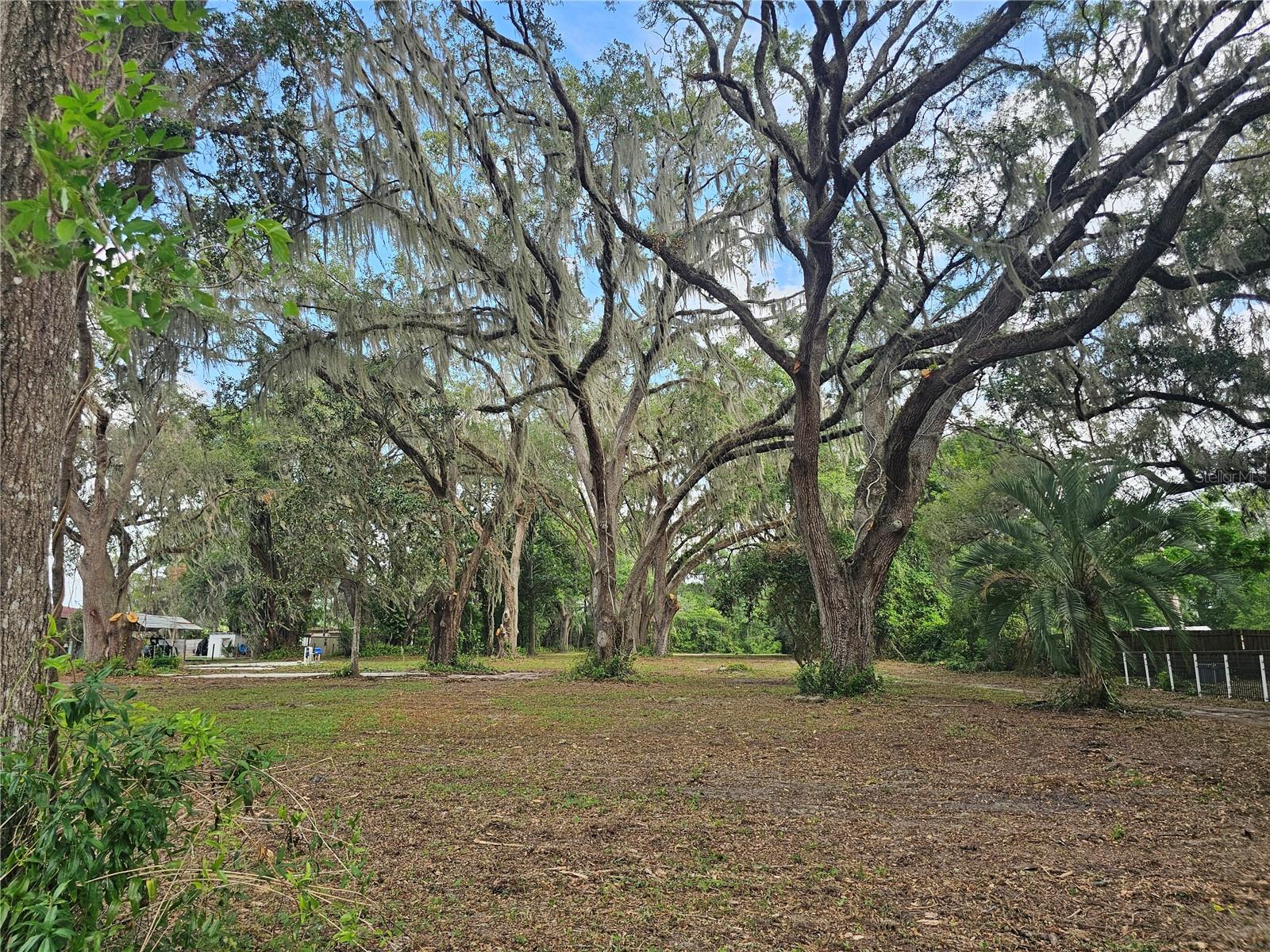 Image 6 of 13 For 7059 County Highway 25a