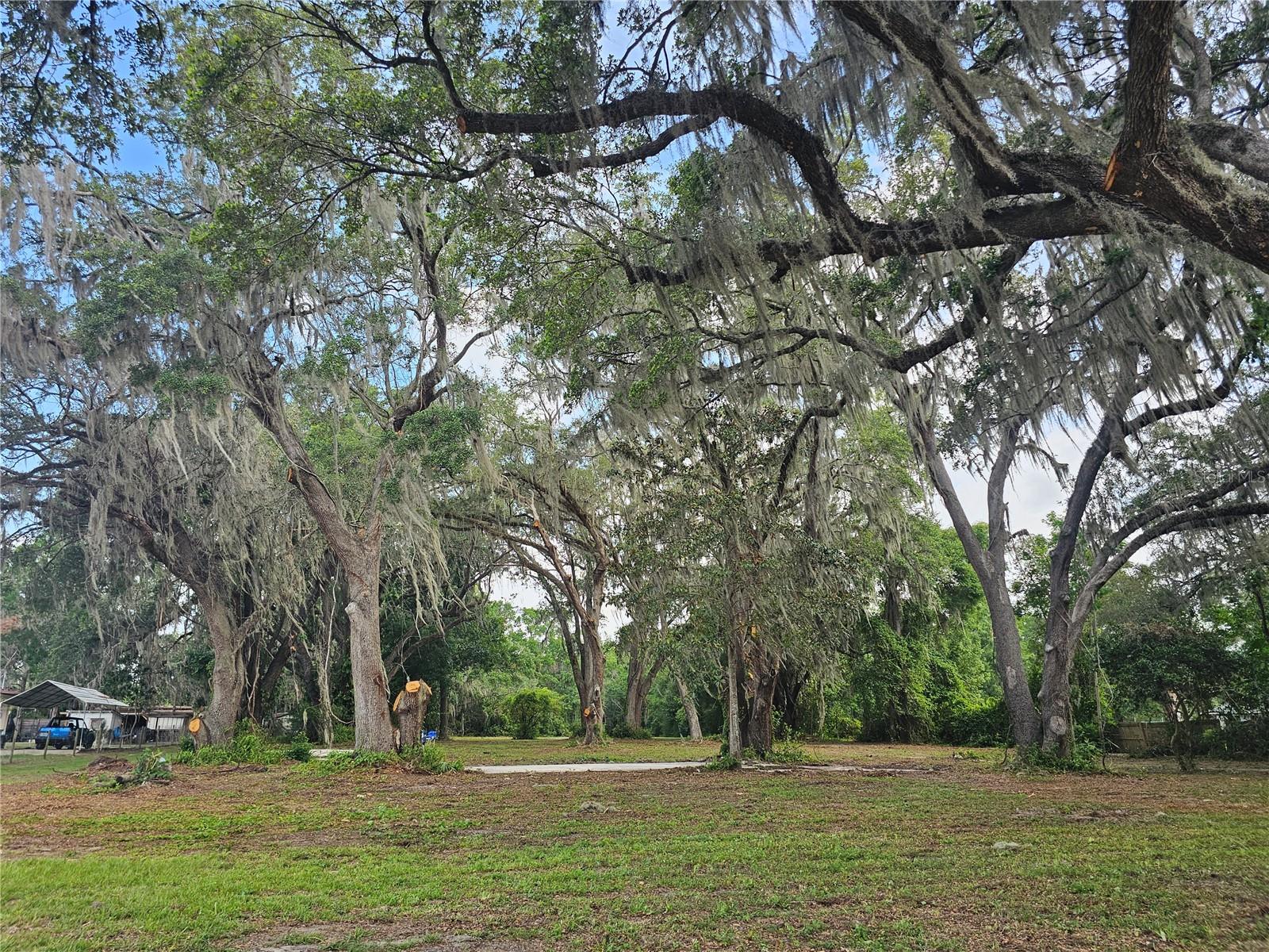 Image 7 of 13 For 7059 County Highway 25a