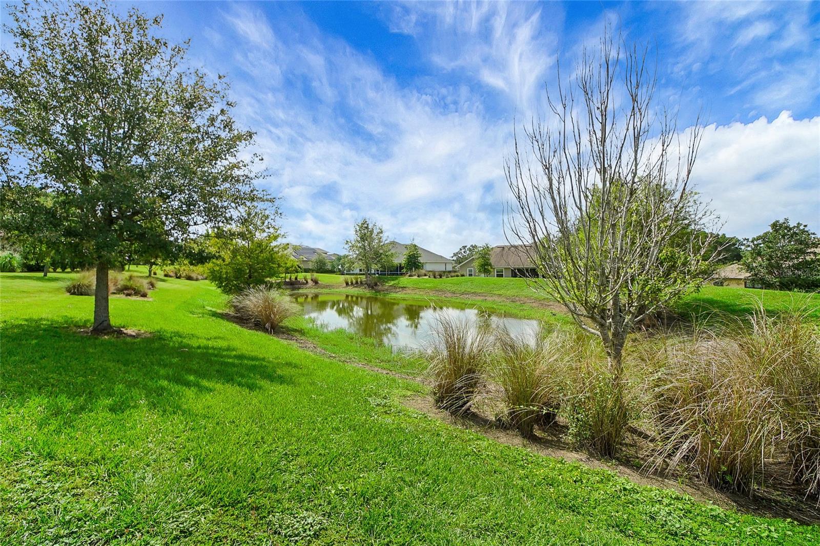 Image 56 of 91 For 6008 Apex Way