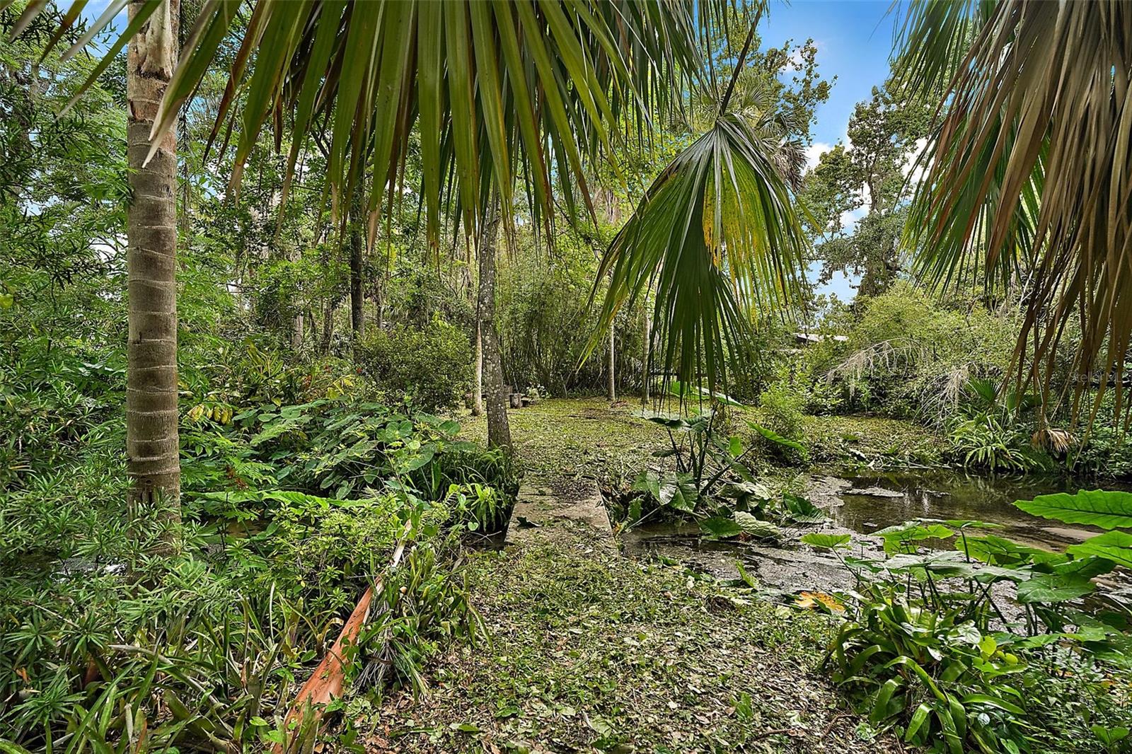 Image 13 of 64 For 27113 Robertson Road