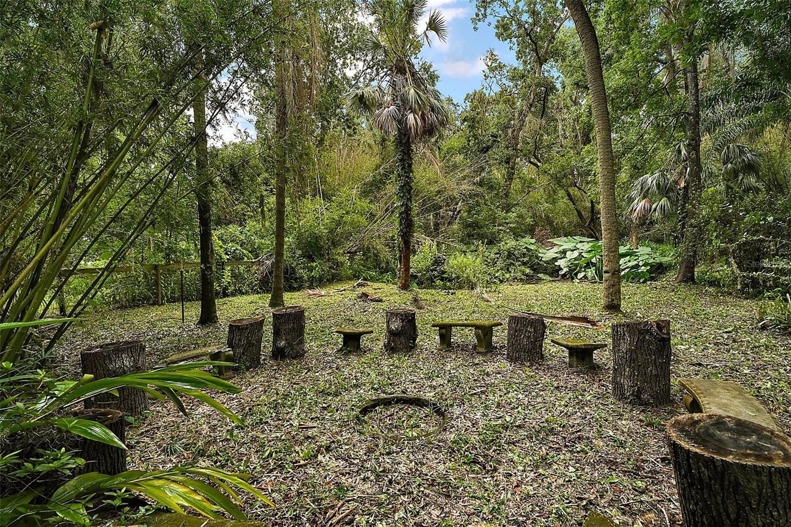 Image 15 of 64 For 27113 Robertson Road