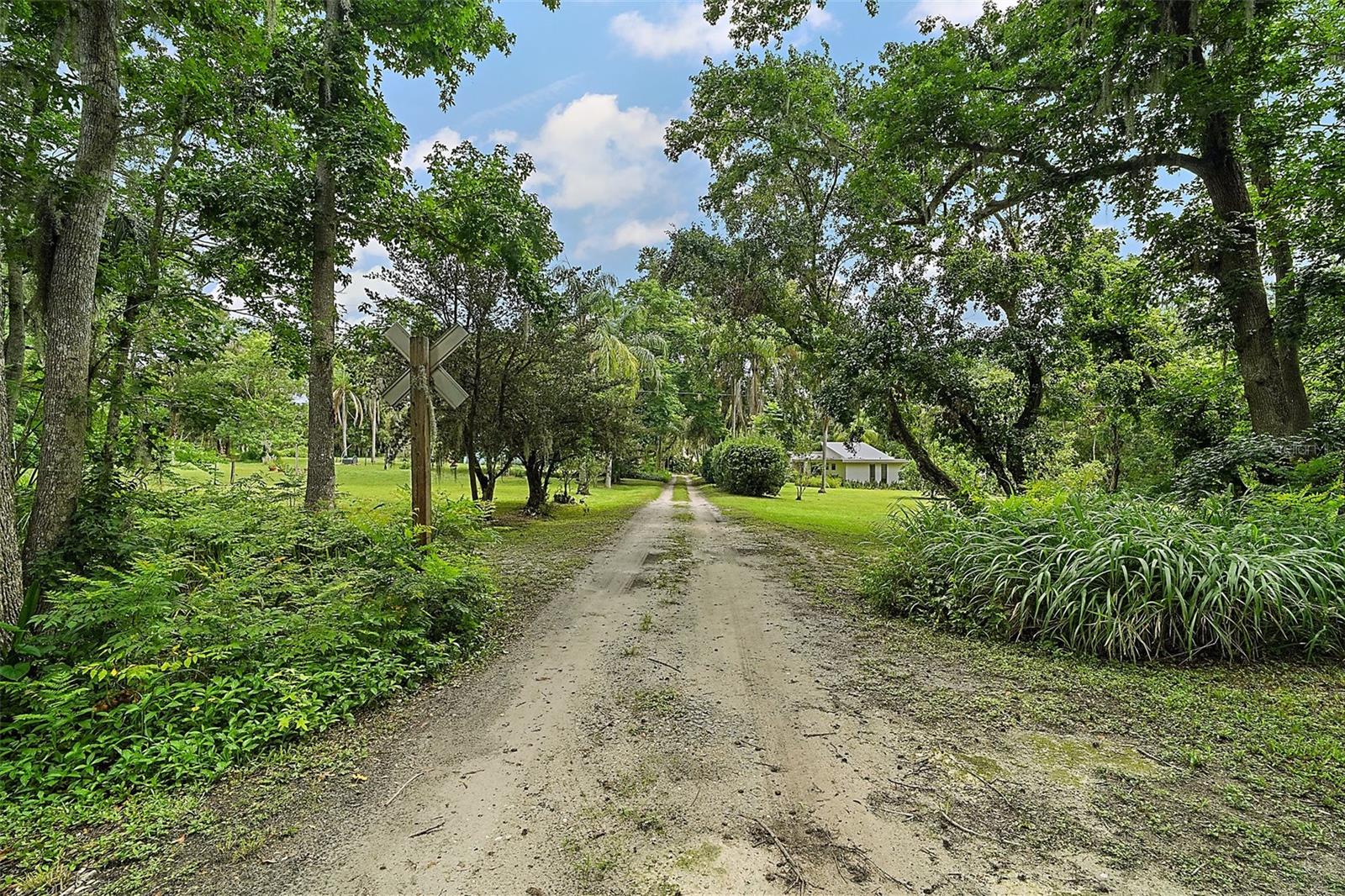 Image 7 of 64 For 27113 Robertson Road