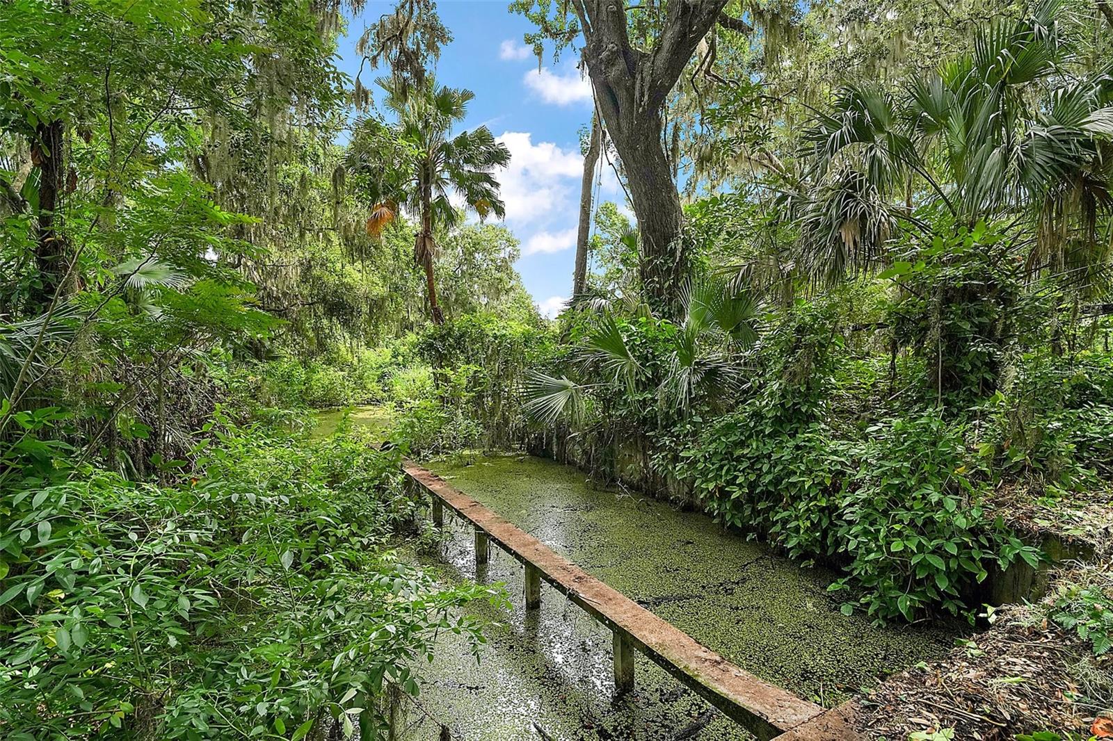 Image 8 of 64 For 27113 Robertson Road