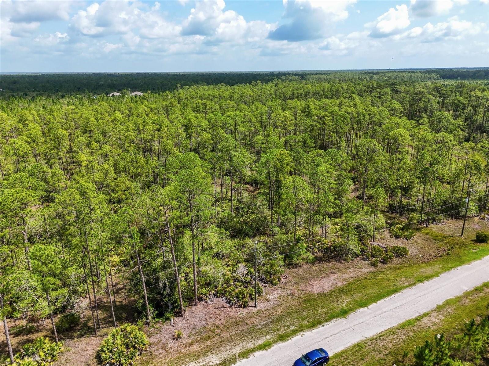 Image 11 of 14 For Lot 61 Meadow Lark Boulevard