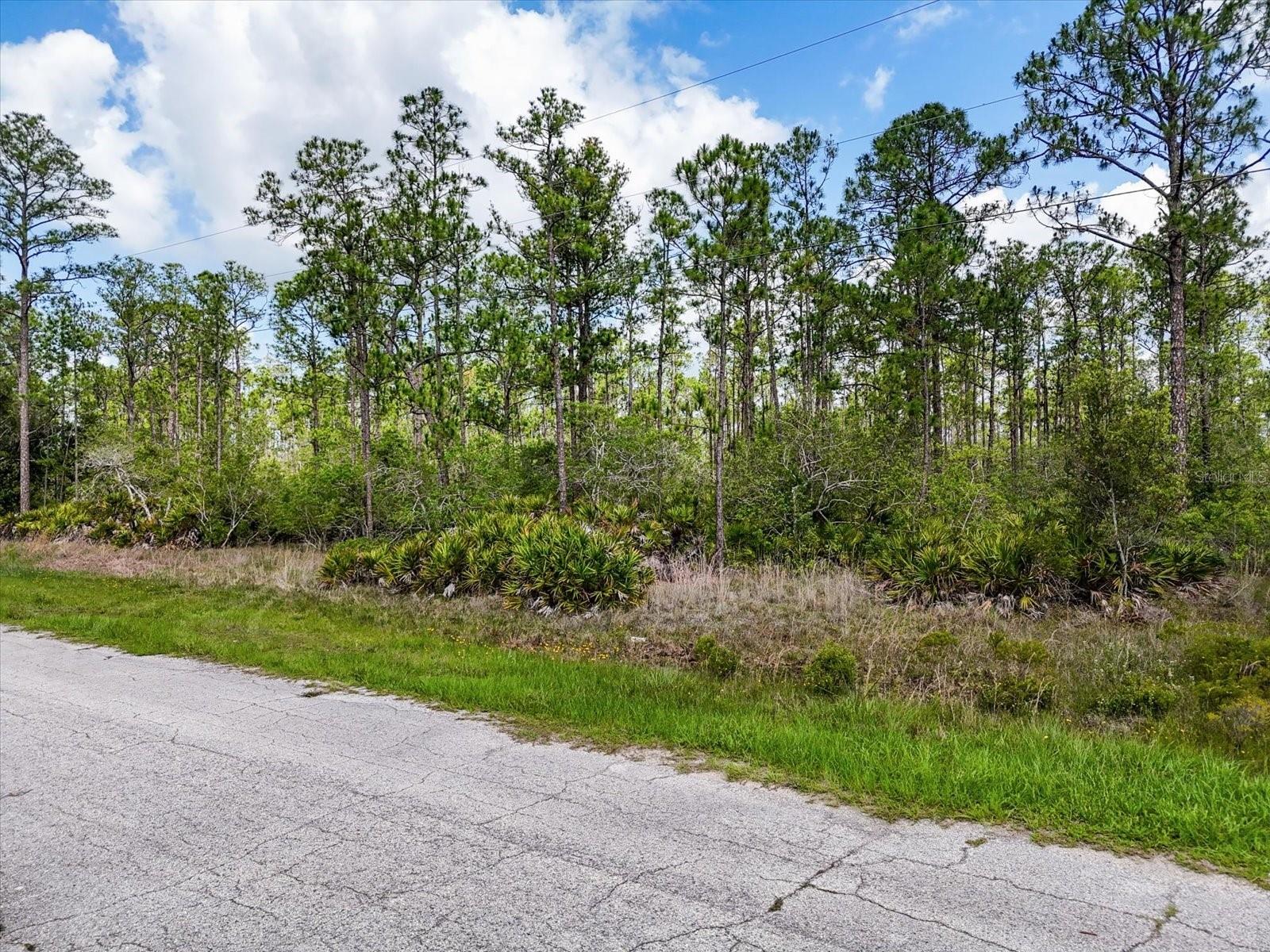 Image 12 of 14 For Lot 61 Meadow Lark Boulevard