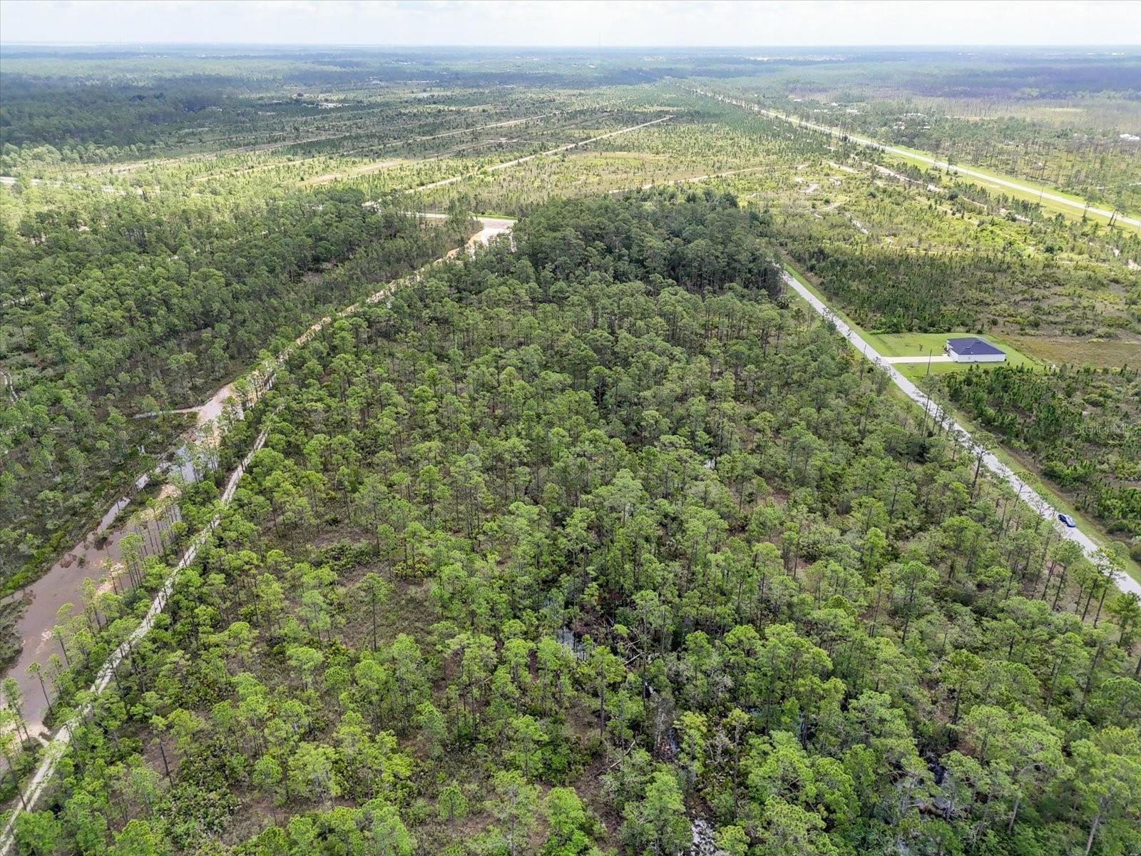 Image 12 of 14 For Lot 62 Meadow Lark Boulevard