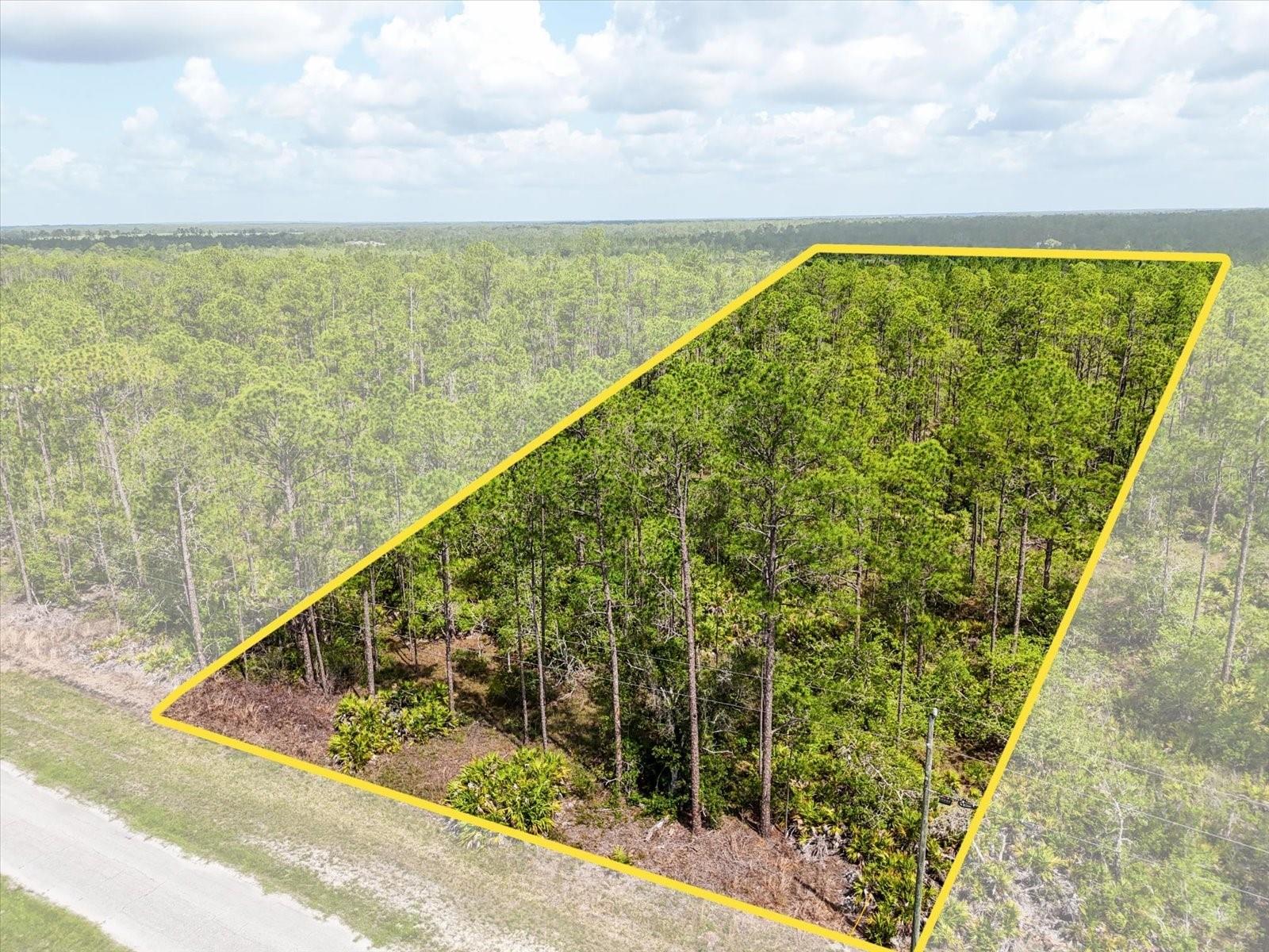 Image 2 of 14 For Lot 62 Meadow Lark Boulevard