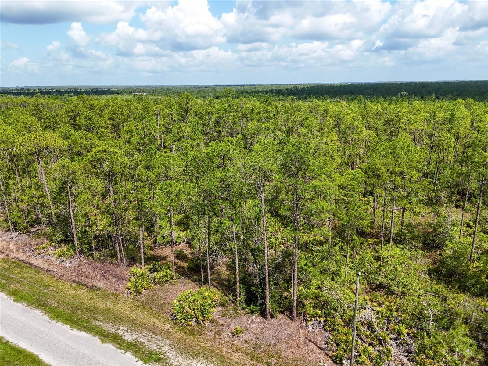 Image 5 of 14 For Lot 62 Meadow Lark Boulevard