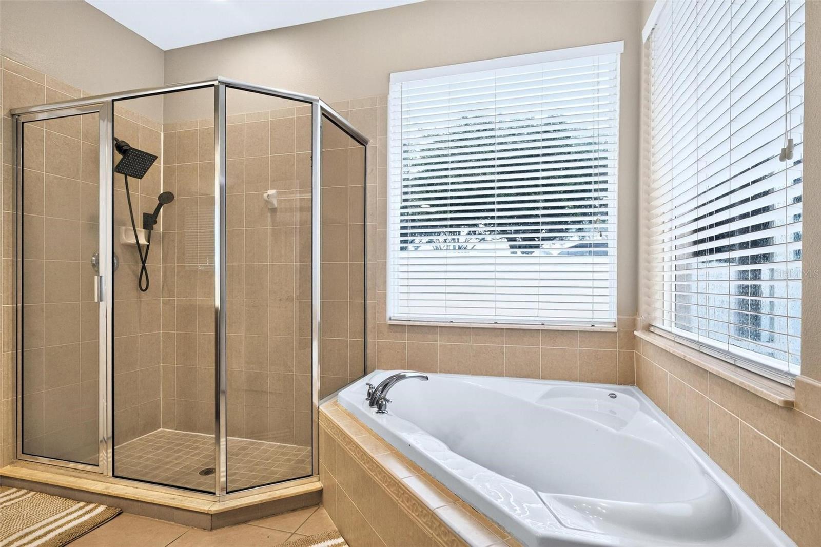 Image 31 of 74 For 33316 Irongate Dr