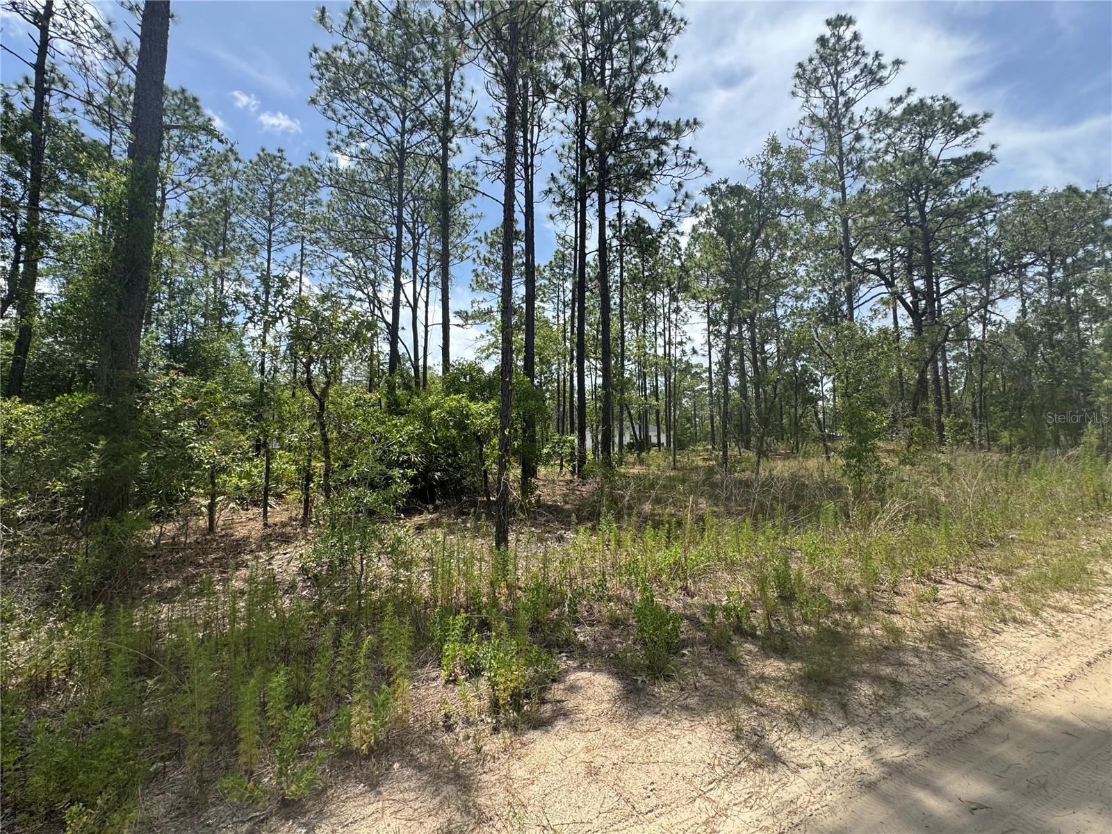 Details for 0000 157th Avenue, OCALA, FL 34481
