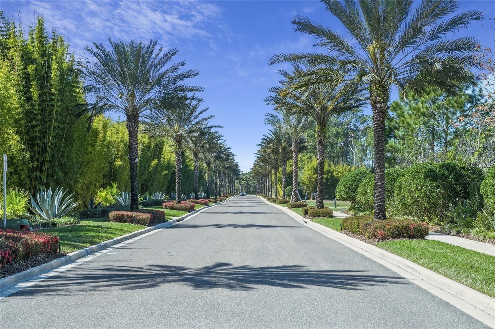Image 5 of 25 For 14501 Grove Resort Avenue 3406