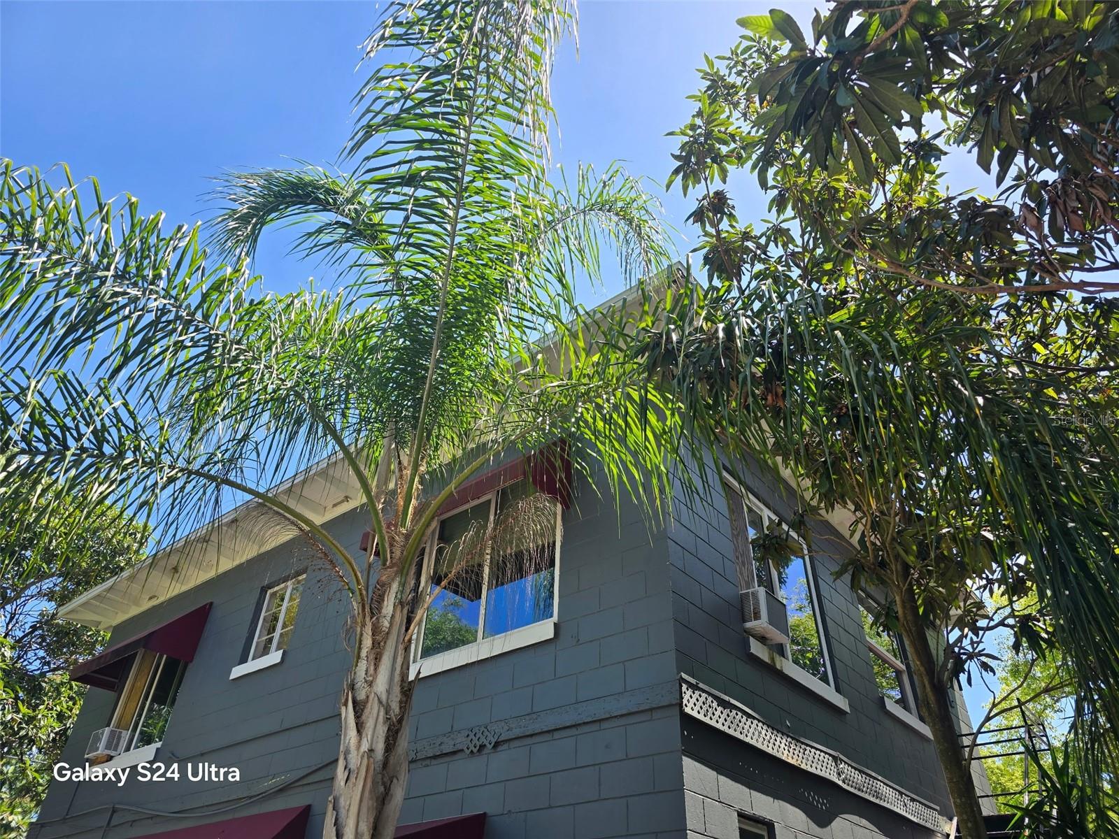 Details for 7306 Earlwood Avenue, MOUNT DORA, FL 32757