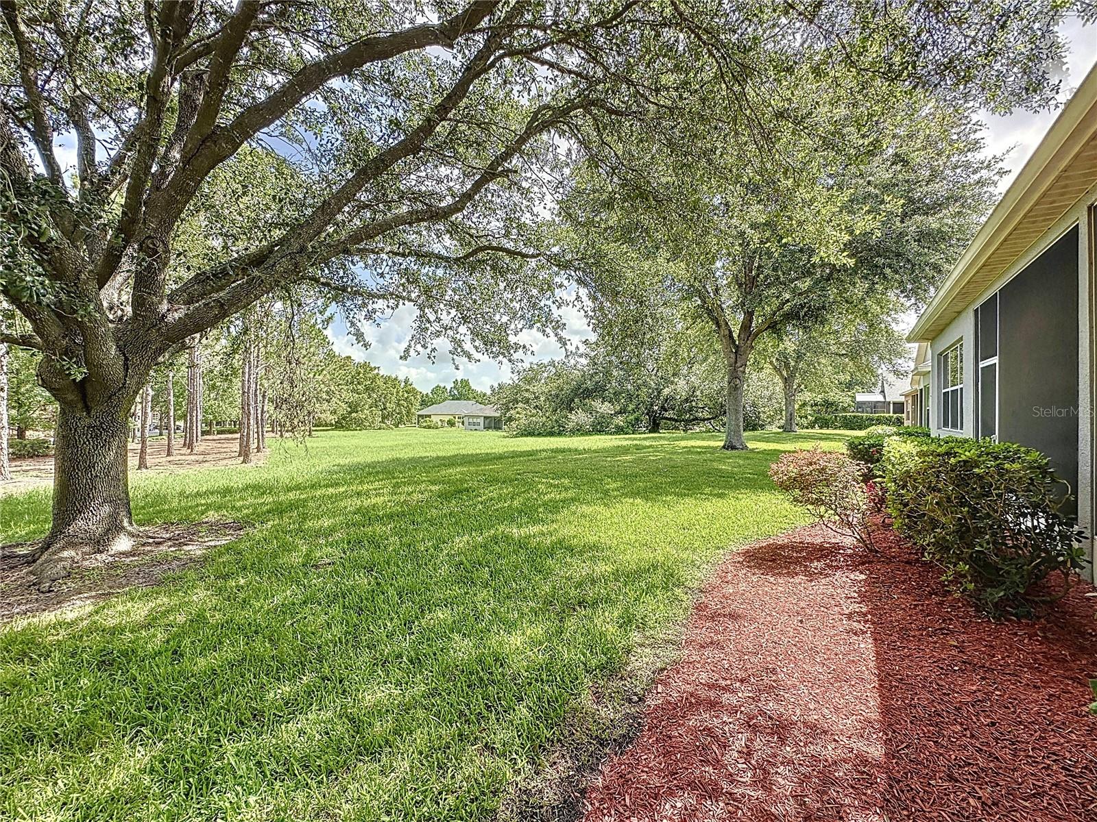 Image 49 of 84 For 101 Flame Vine Way