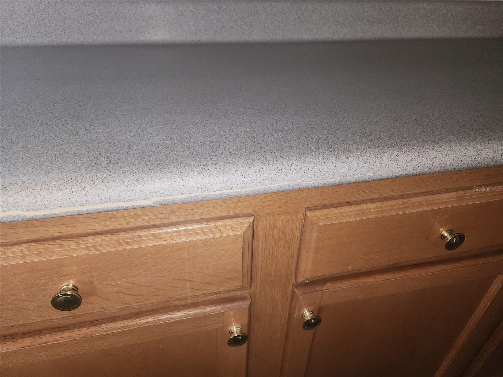 Image 8 of 78 For 222 Bacopa Pass