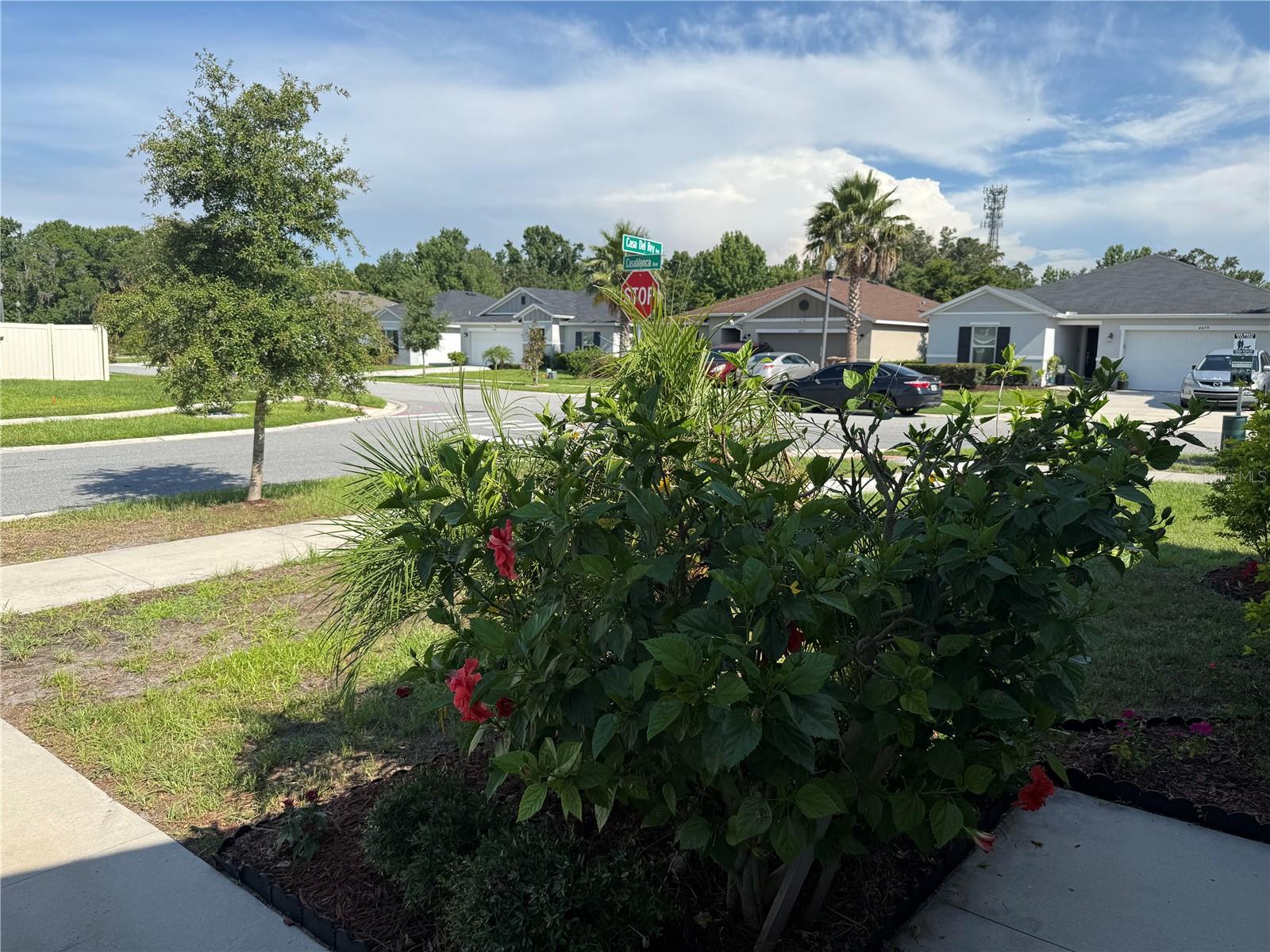 Image 14 of 29 For 3260 Casa Del Rey Avenue