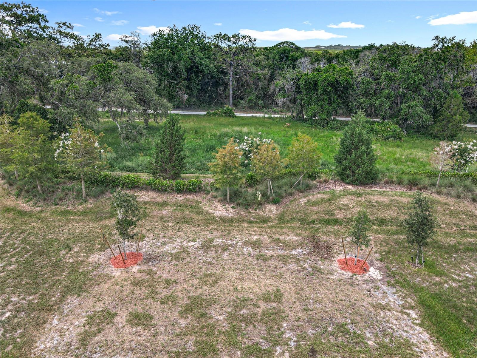 Image 34 of 50 For 6946 Perch Hammock Loop