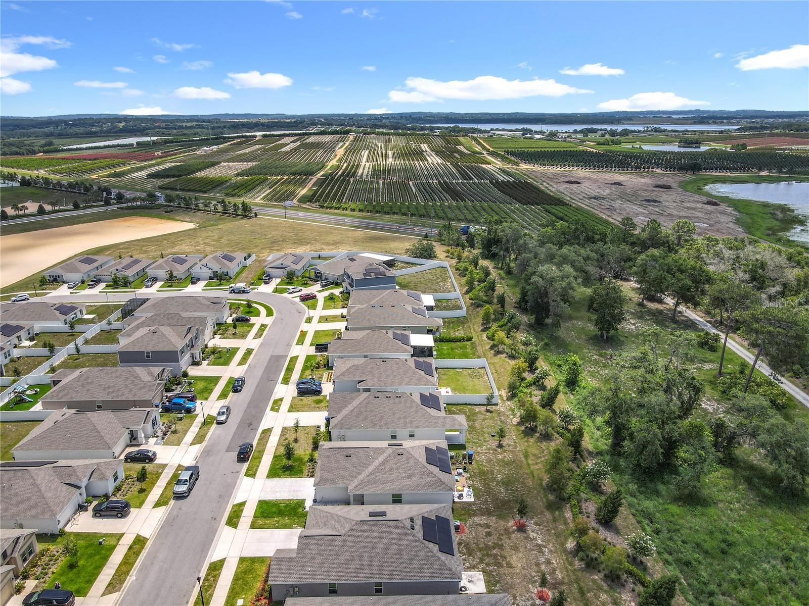 Image 6 of 50 For 6946 Perch Hammock Loop