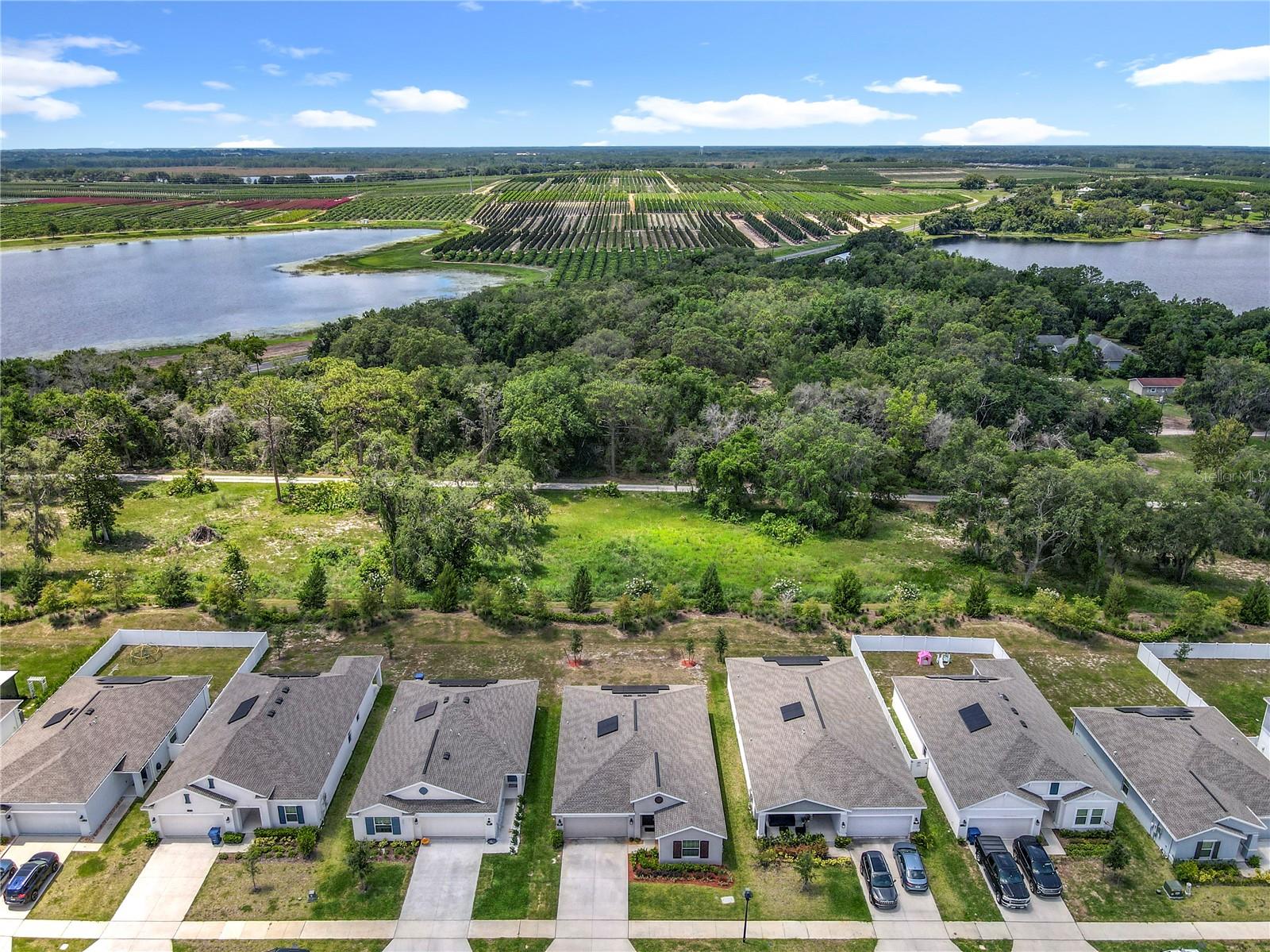 Image 7 of 50 For 6946 Perch Hammock Loop