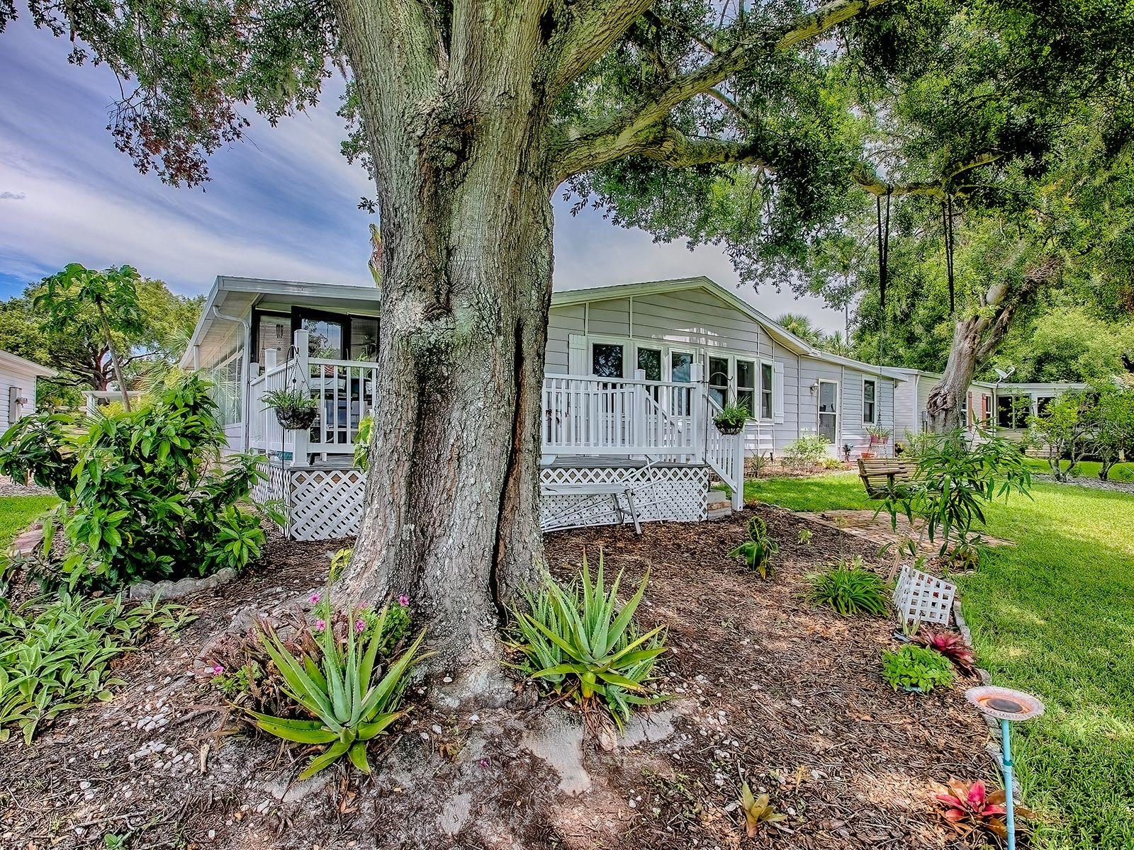 Image 31 of 45 For 25007 Bellevue