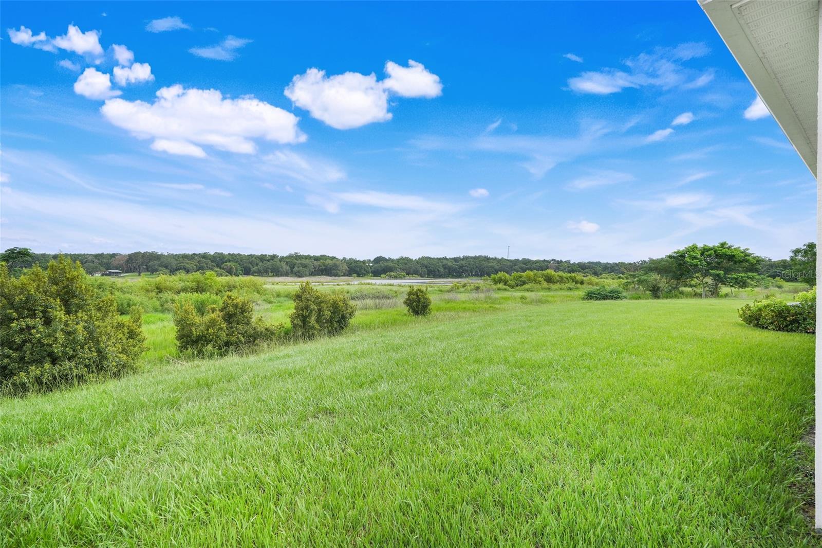 Listing photo id 39 for 13797 Wineberry Drive