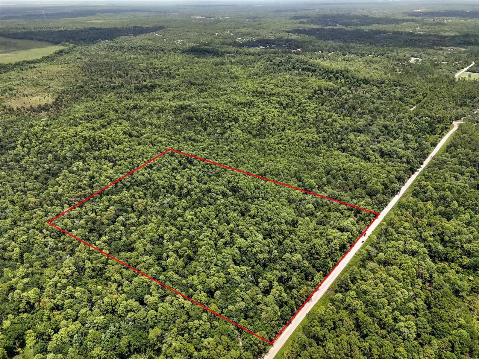 Details for Maggie Jones Road, PAISLEY, FL 32767