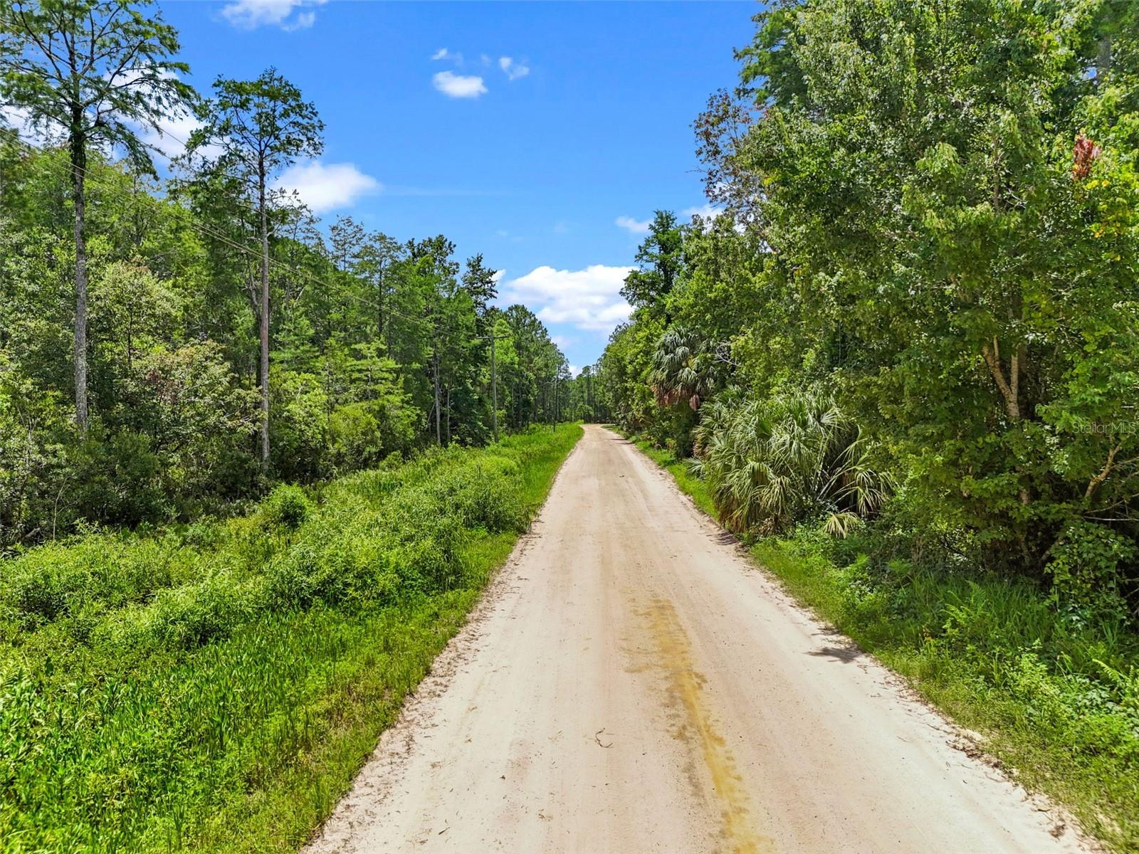 Image 3 of 17 For Maggie Jones Road
