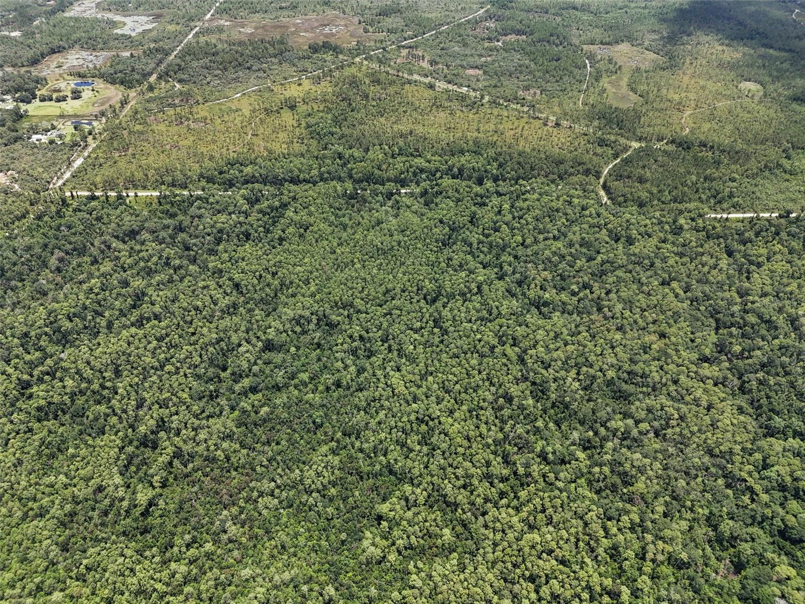 Image 8 of 17 For Maggie Jones Road