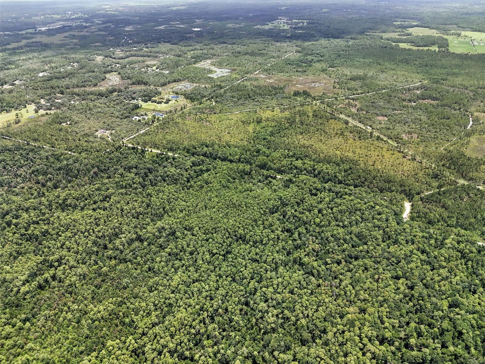 Image 9 of 17 For Maggie Jones Road