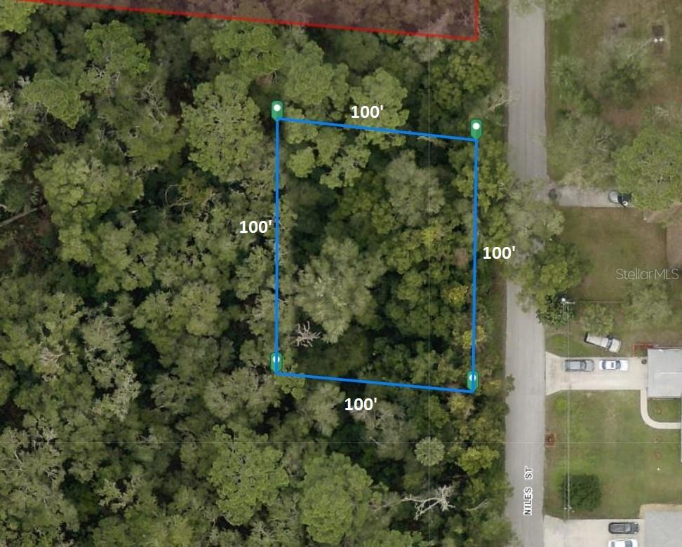 Listing Details for 31637 Niles Street, SORRENTO, FL 32776